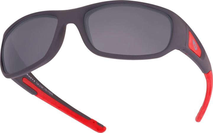 Actual product image Demetz Liken, grey polarised (3)