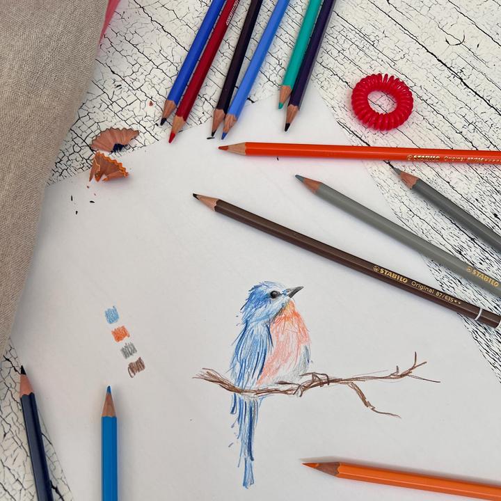 Immagine prodotto STABILO Matita colorata originale di qualità superiore (Multicolore, 12 x)