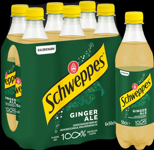 Immagine prodotto Schweppes Birre allo zenzero (24 x 50 cl)