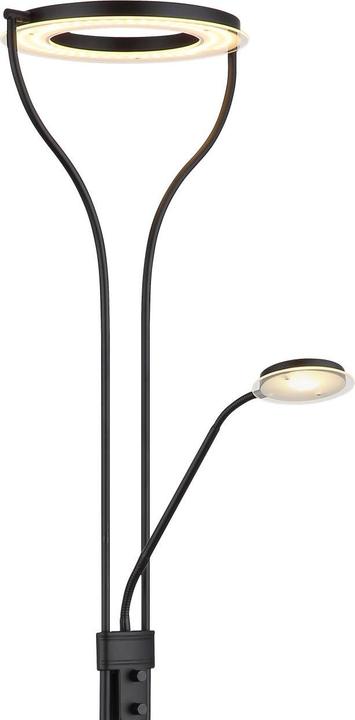 Actual product image Globo Ebro