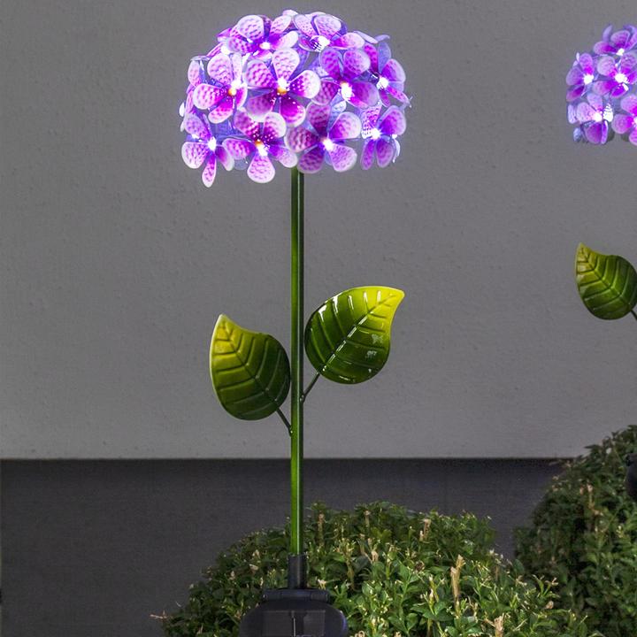 Image du produit Star Trading Hortensia (IP44)