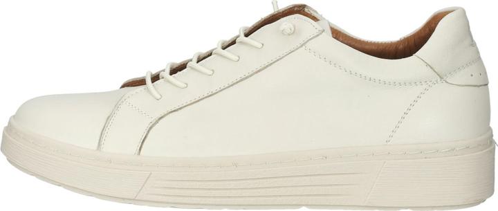 Actual product image Hush Puppies This comfortable and simple sneaker from with a padded removable footbed and a puri (39)