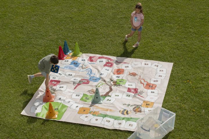 Produktbild Betzold XXL- Leiterspiel Tier (Deutsch, Französisch, Italienisch, Englisch)