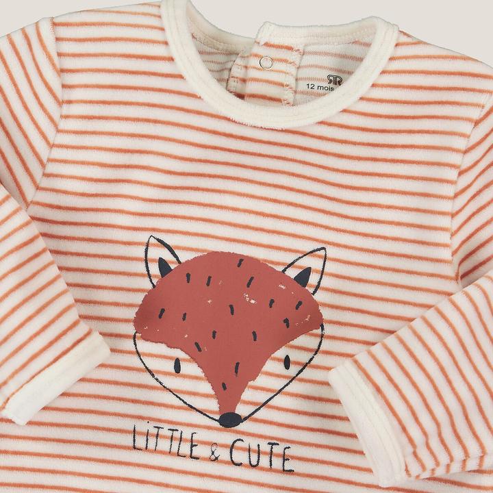 Produktbild La Redoute Collections Pyjama aus Samt mit Streifen und Fuchsmotiv vorne (54)