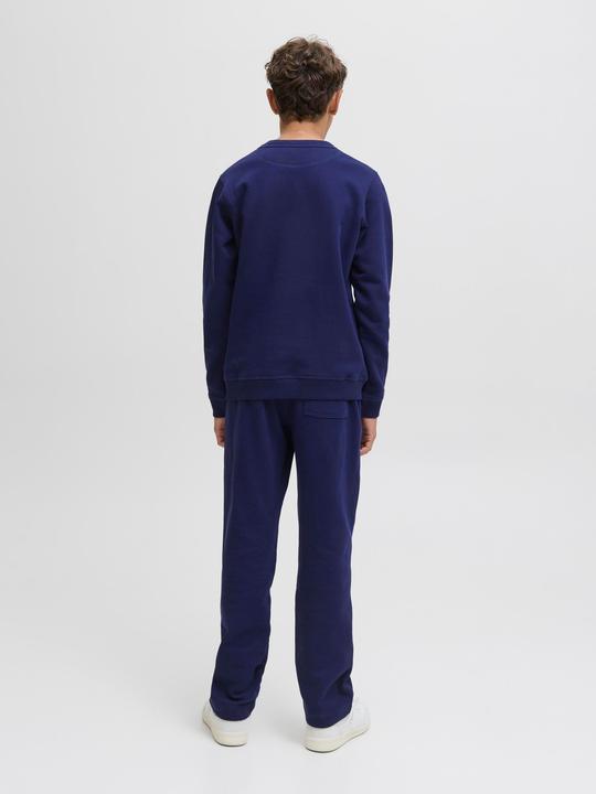 Actual product image Jack & Jones Junior Hose KANE NORREBRO Sweathose (152)