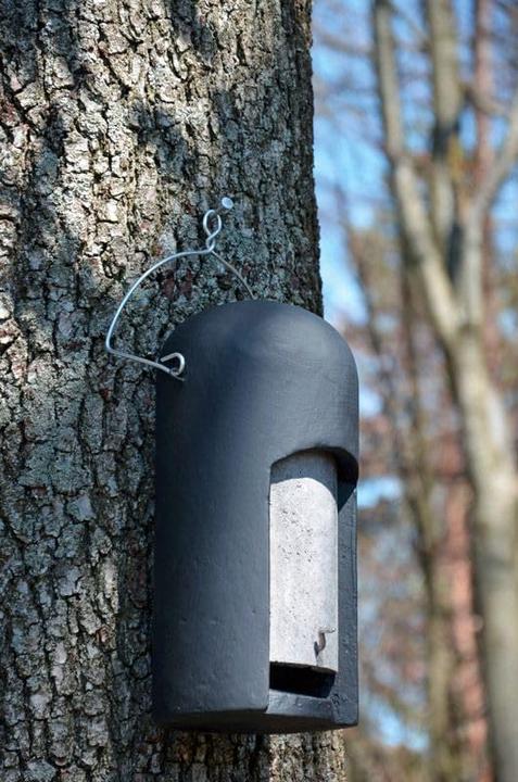 Actual product image Schwegler Fledermaus Nistkasten 2FN