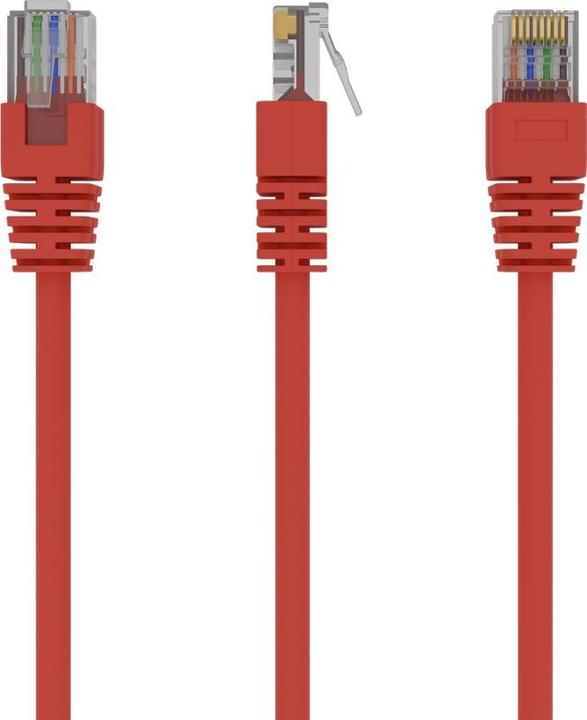 Actual product image Gembird Patch cable (UTP, CAT5e, 0.50 m)