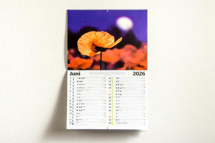 Produktbild Das Mondjahr 2026 - Wandkalender (32 x 28 cm, Harter Einband, Deutsch)