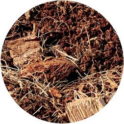 Image du produit Ugro Coco Slab Rhiza