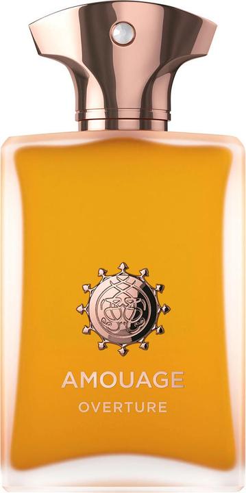 Image du produit Amouage Overture (Eau de parfum, 100 ml)