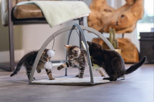 Produktbild Beeztees Bz Kitten Spielmatte Xabia Gra (Katzenminzespielzeug)
