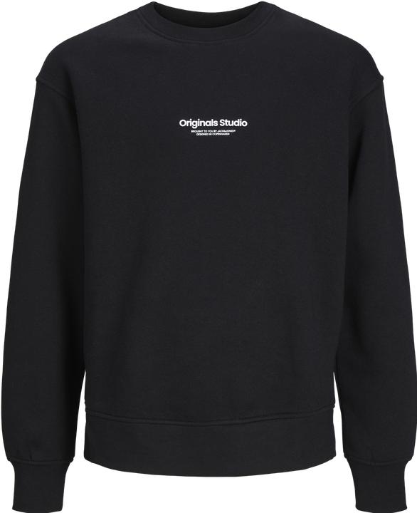 Actual product image Jack & Jones Sweatshirt (164)