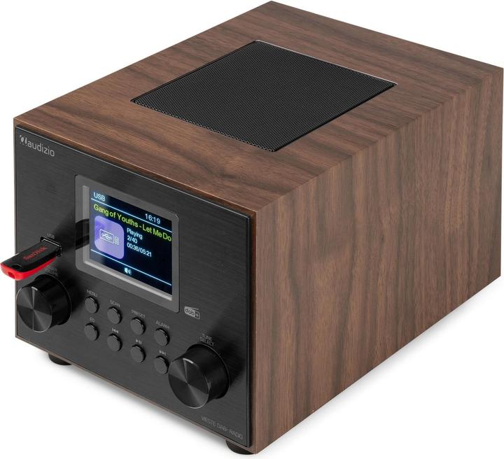 Audizio DAB+ Radio (DAB+, FM, Bluetooth)