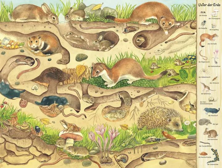 Produktbild Das Riesen-Natur-Wimmelbuch (Deutsch, Christine Henkel, 2018)