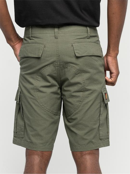 Actual product image Santa Cruz Defeat Workshort (32)
