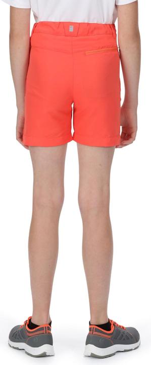 Actual product image Regatta Sorcer Ii Shorts (146)