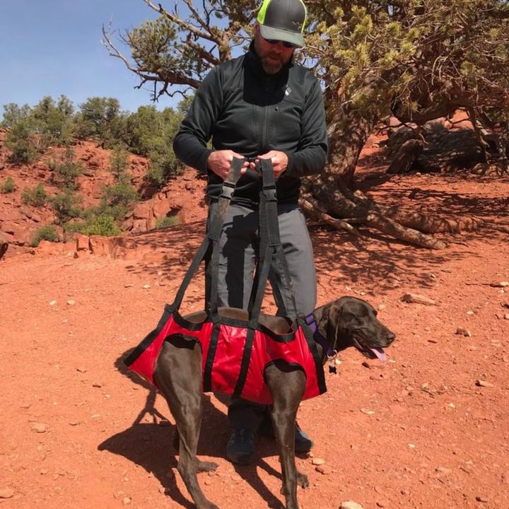 Fido Pro Airlift (XL, Dog vest)