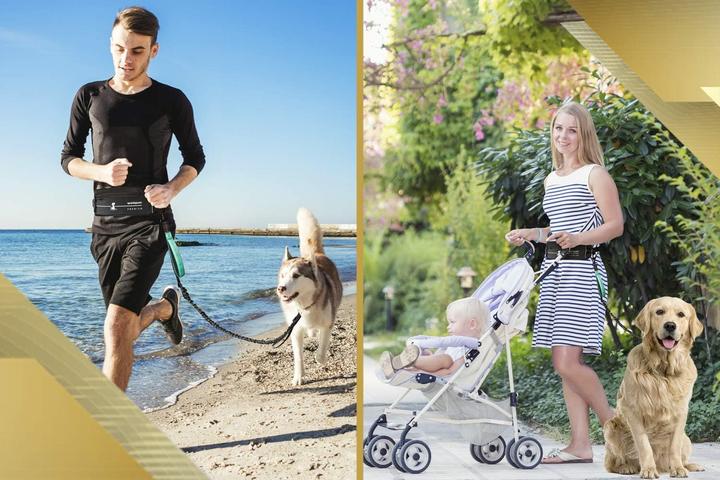Produktbild SparklyPets 2 in 1 Joggingleine für Hunde mit Doppelgriff, Stossdämpfer und Bauchgurt (Hund, Jogging)