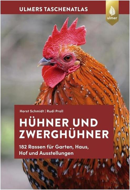 Produktbild Hühner und Zwerghühner Buch (Deutsch, Horst Schmidt, Rudi Proll, 2018)