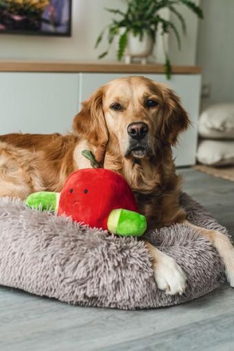 Produktbild Beeztees Bz Plu Hund Spielz Versteck Ap (Plüschspielzeug Hund)