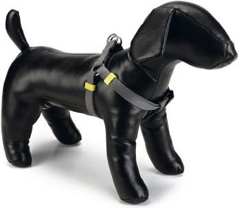 Actual product image Beeztees BZ NY GESCH UNI DARK GRAY 35-60 (35, 36, 37, 38, 39, 40, 41, 42, 43, 44, 45, 46, 47, 48, 49, 50, 52, 54, 56, 58, 60, Dog, General)
