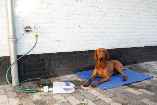 Actual product image Beeztees Quick (Dog)