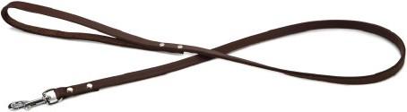 Beeztees BZ LEREN RIEM BRUIN 100X10 (100, Hond, Algemeen)