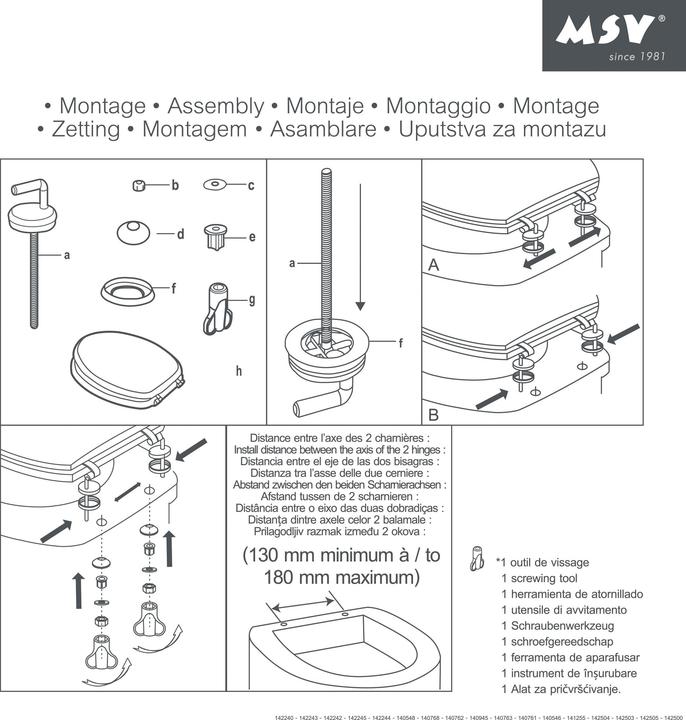 Image du produit MSV Étoile de mer
