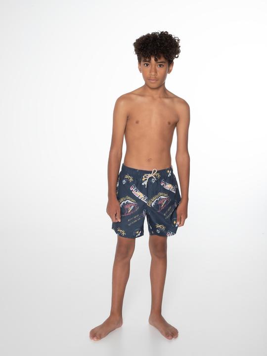 Actual product image Protest Swim shorts Prtharris (164)