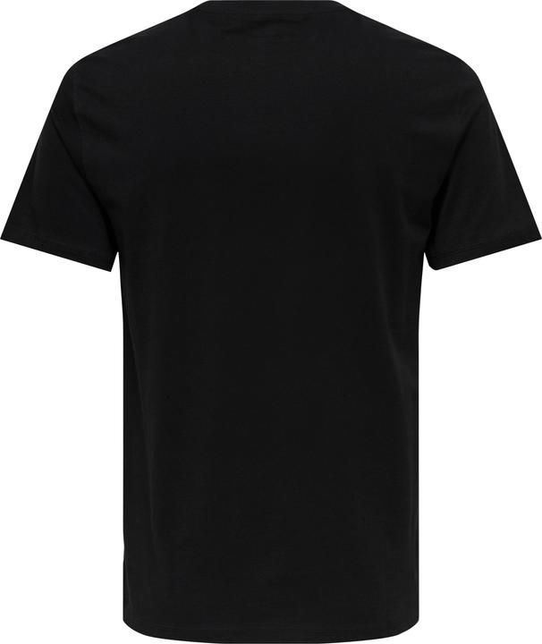 Actual product image Only & Sons Onsmax Life Reg Ss Stitch Tee Noos (L)