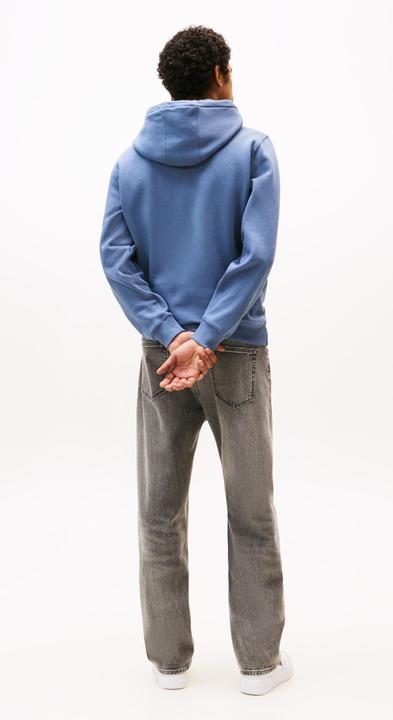 Immagine prodotto Tommy Jeans Tjm Reg S Flag Hoodie Ext (L)