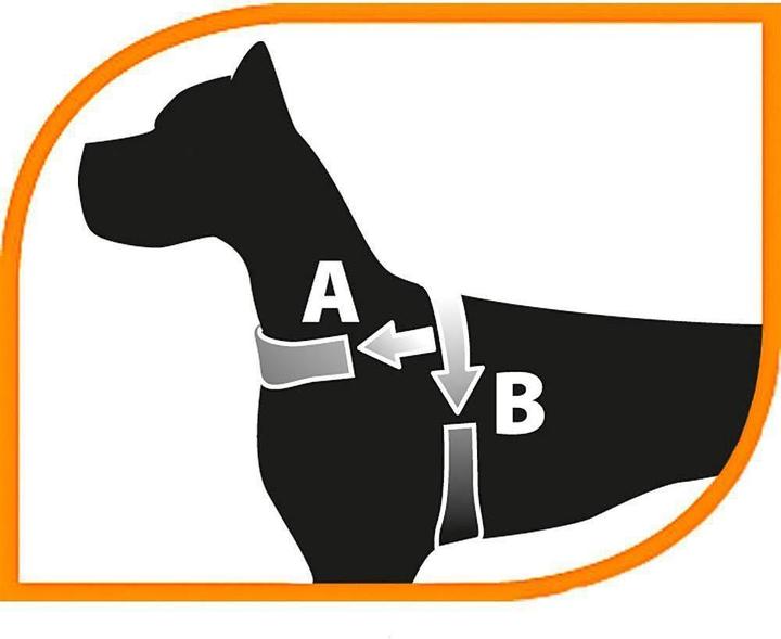 Produktbild Ferplast Daytona belts are big red (L, Hund, Allgemein)
