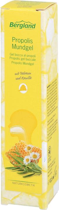 Produktbild Bergland Propolis Mundgel, 13.5 ml GEL (1 x, 13.50 ml)