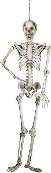 Image du produit Europalms Squelette d'Halloween, 150 cm