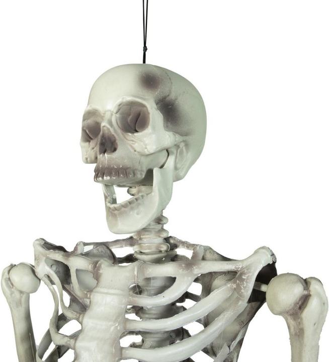 Image du produit Europalms Squelette d'Halloween, 150 cm