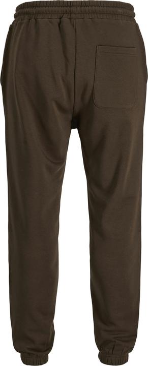 Actual product image Jack & Jones Regular Fit Relaxed Fit Hosen Relaxed Fit Hosen (XXL)