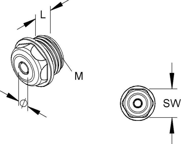 Actual product image HKL Sealing plug