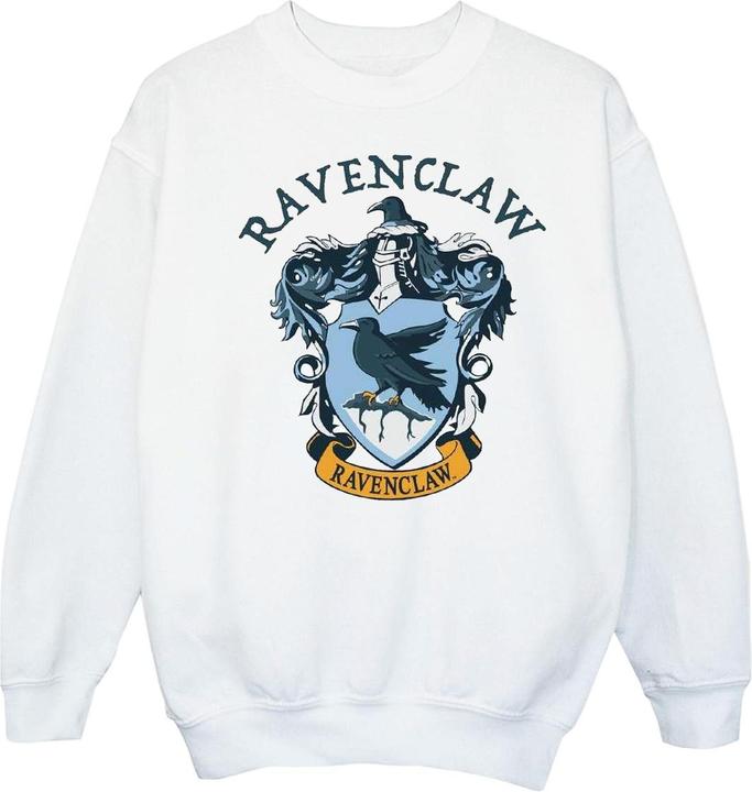 Sweatshirt Jungen (140, 146)