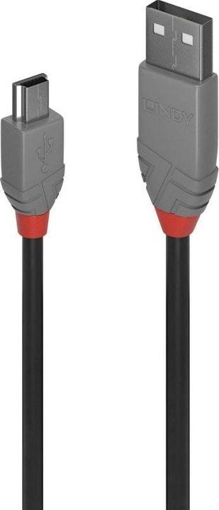 Actual product image Lindy USB/A-MiniB M-M (5 m, USB 2.0)