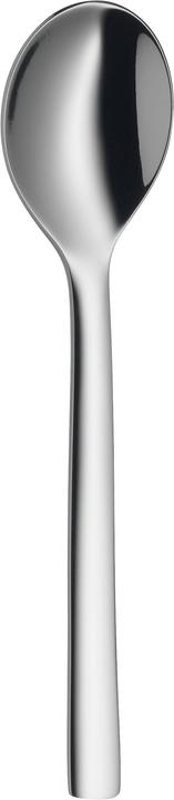 Actual product image WMF Nuova (6 Piece, Scoops)