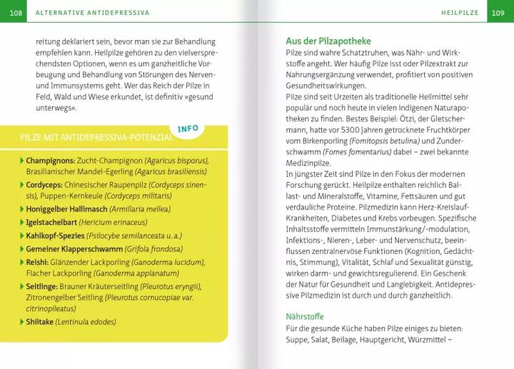Actual product image Natürliche Antidepressiva. Kompakt-Ratgeber (German, Dr. med. Eberhard J. Wormer, 2022)