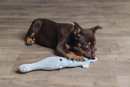 Immagine prodotto Beeztees Giocattolo per cani Flatino cucciolo (Peluche)