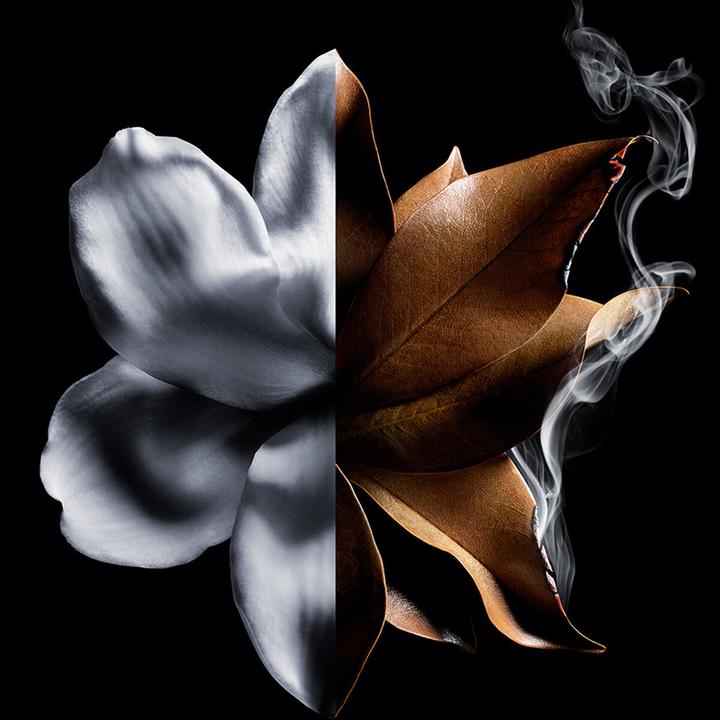 Produktbild Givenchy L’Interdit Absolu (Eau de Parfum, 35 ml)