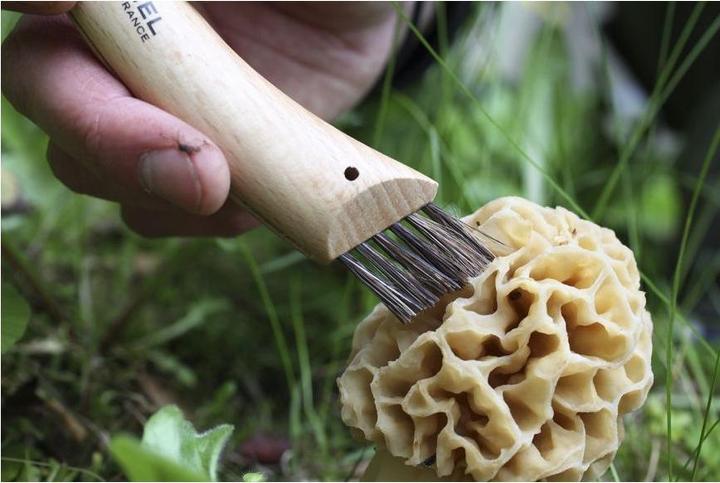 Produktbild Opinel Nr. 8 (7 cm)