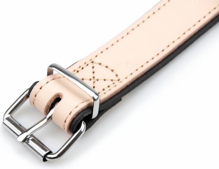 Produktbild Karlie Halsband Rondo, breit (XS, Hund, Spazieren)