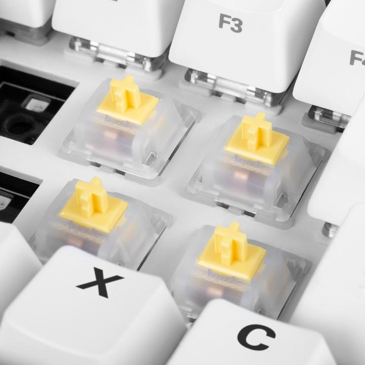 Actual product image Sharkoon Keycaps Gateron Cap for mechanical keyboards