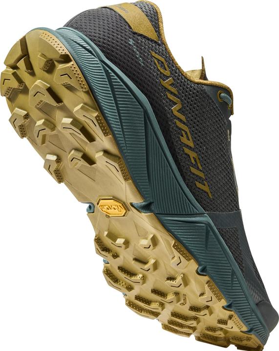 Produktbild Dynafit Ultra 100 GTX Laufschuh (42.5)