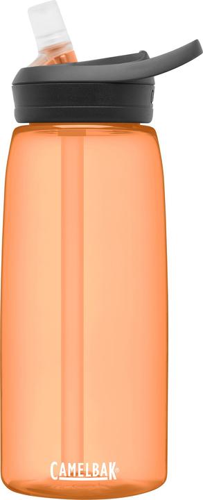 Actual product image Camelbak Eddy+ drinking bottle (1 l)