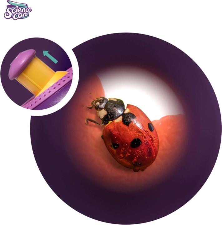 Actual product image Science Can Insekten & Wasserwelt Beobachtungsstation / Insect & Aqua Viewer