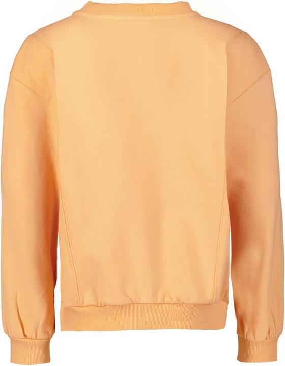 Image du produit Garcia Pull Playground (104, 110)